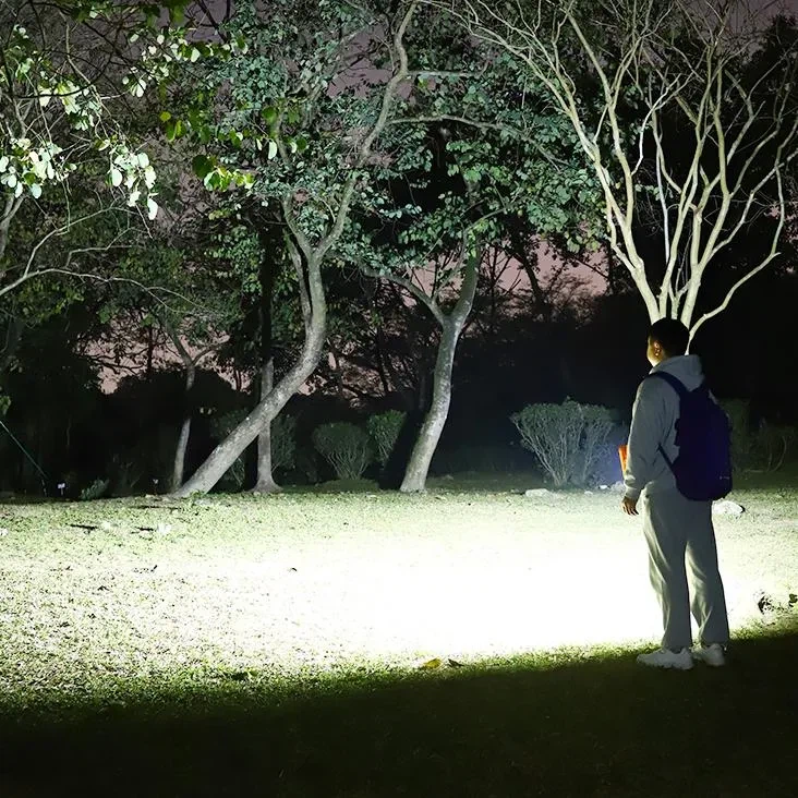 Solar Flood Light For Camping factory